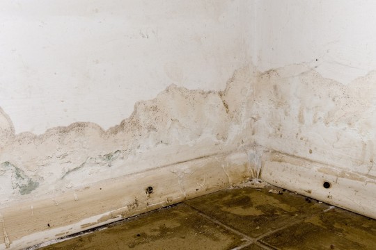 What Are The Signs Your Basement Needs Waterproofing?